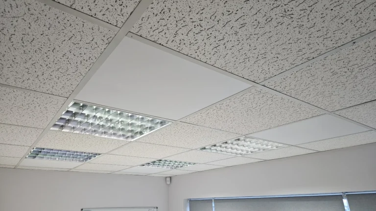A ceiling featuring acoustic tiles and fluorescent lighting in an office setting.